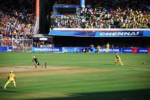 Image result for Cricket Games for Kids Free