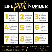 Image result for Life Path 1