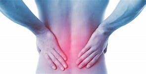 Image result for Lower Back and Groin Pain