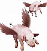 Image result for Flying Pig No Backround