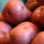 Image result for What Types of Potatoes Are Largest