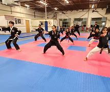 Image result for martial arts'