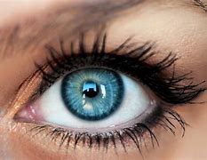 Image result for Blue Contacts for Astigmatism