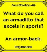 Image result for Armadillo Puns