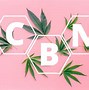 Image result for Cannabinoids Effects