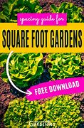 Image result for Square Foot Gardening Spacing
