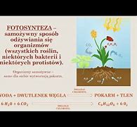 Image result for co_to_za_Żywy_organizm