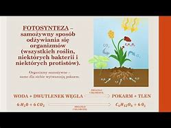 Image result for co_to_znaczy_Żywy_organizm