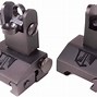 Image result for Rifles with Iron Sights