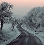 Image result for Winter Snow Trees