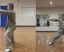 Image result for Tai Chi 13 Postures