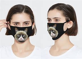 Image result for Face Mask Cat Meme