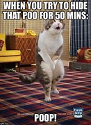 Image result for Big Poo Cat Meme White Background