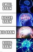 Image result for Brain Size Large Meme