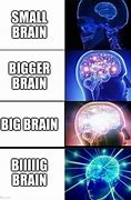 Image result for Big Brain Only Meme