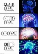 Image result for Bigger Brain Meme
