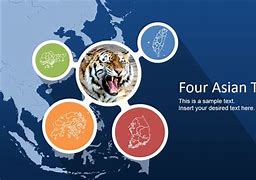 Image result for Four Asian Tigers