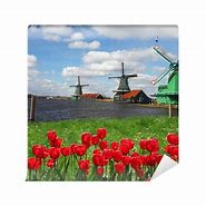 Image result for Famous Windmill in Netherlands