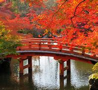 Image result for Japan Autumn Season