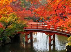 Image result for Japan Nature Autumn