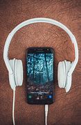 Image result for Headphones with a Phone