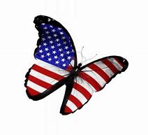 Image result for American Flag Butterfly