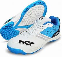 Image result for DSC Shoes Cricket