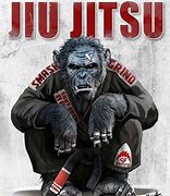 Image result for Monkey Guard Jiu Jitsu