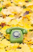 Image result for Apple Green Phone