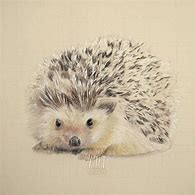 Image result for Hedgehog Pencils