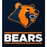Image result for Chicago Bears