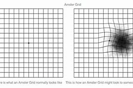 Image result for Square Inch Graph Paper