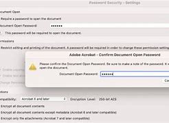 Image result for Acrobat 11 Remove Password