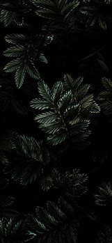 Image result for Moody Phone Wallpaper