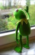 Image result for Kermit Staring Window