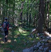 Image result for Crni Vrh Hiking Trail