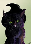 Image result for Witch Cat Meme