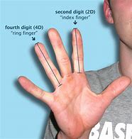 Image result for 7 Inches Compared to Hand