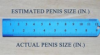 Image result for Nine Inches Long
