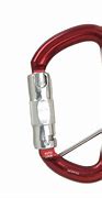 Image result for Auto Locking Carabiner