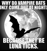 Image result for Bat Crazy Women Memes