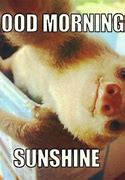Image result for Good Morning Sloth Meme