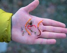 Image result for Fish Hook Size by Species