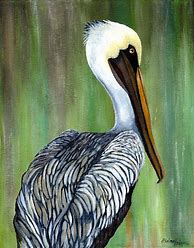 Image result for Brown Pelican Paintings