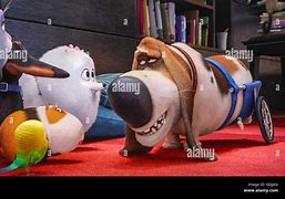 Image result for Max Secret Life of Pets