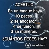 Image result for acrrtijo