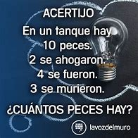 Image result for acerijo
