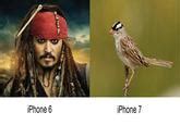 Image result for iPhone 6 Types