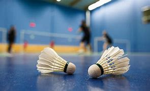 Image result for Badminton Compétition
