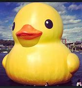 Image result for Funny Rubber Ducky
